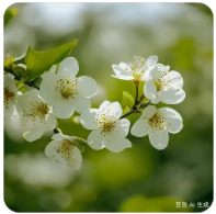 老王论坛账号购买