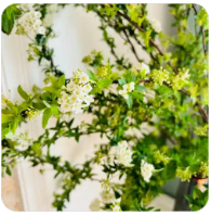 X1080X 高清论坛会员 