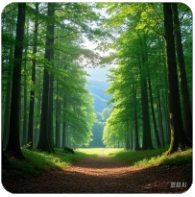 老王论坛账号购买