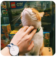 草榴邀请码,草榴社区邀请码和小草邀请码