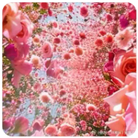 草榴社区邀请码 